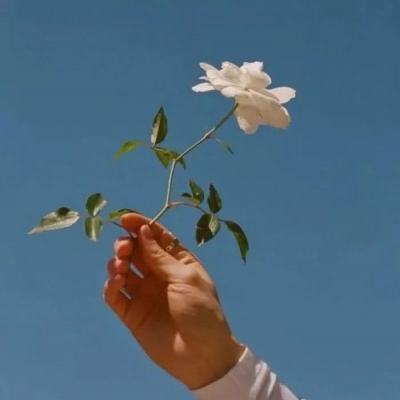 余烬风暴百度版下载