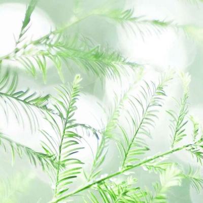 半智英雄手机版下载