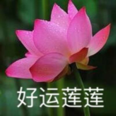 雷电飞机跑酷